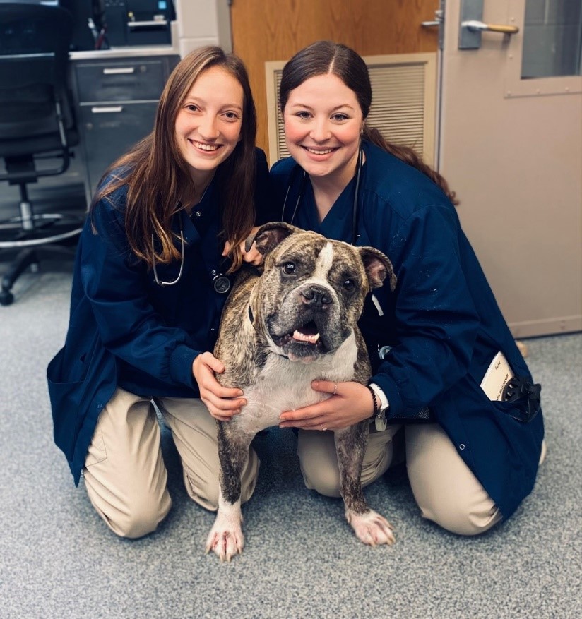 Tweet by Purdue Veterinary Medicine