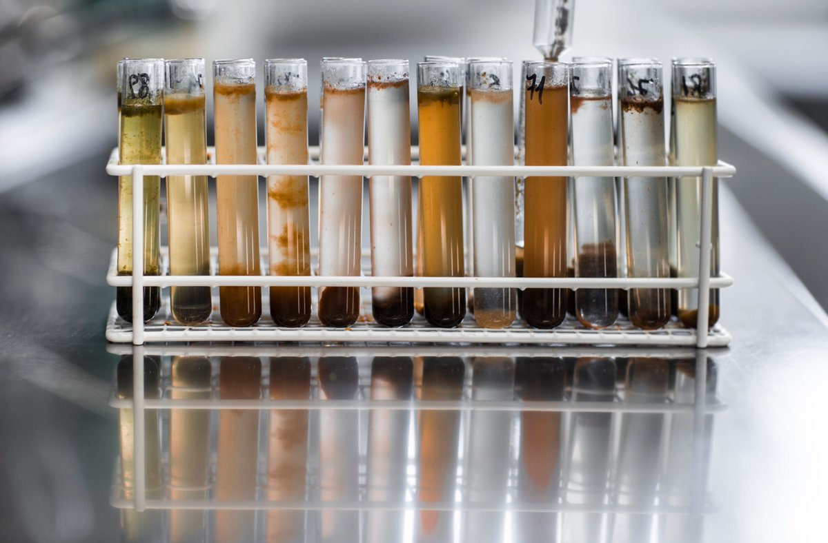 uzh_Parasito's tweet image. A snapshot of some samples from our diagnostics!

#uzh #parasitology #ipz #dzp #samples