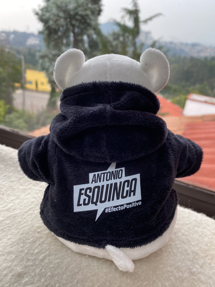 aesquinca's tweet photo. ¡HOY será UN GRAN DÍA!
Y lo comenzamos de la mejor manera, con el único #CaminitoALaEscuela de @alfa913fm y la oportunidad de llevarse un #OsitosCumplidoresDeDeseos edición Invierno 2022
🐻‍❄️❄️🐻‍❄️, escuchen @alfa913fm para saber cómo. https://t.co/opPd5I0PEN
