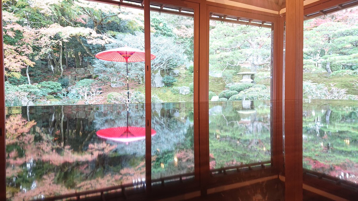 jajamarucat's tweet photo. 旧竹林院 誰でもこれ位の写真が撮れます。
#旧竹林院 https://t.co/0i92epKZtH