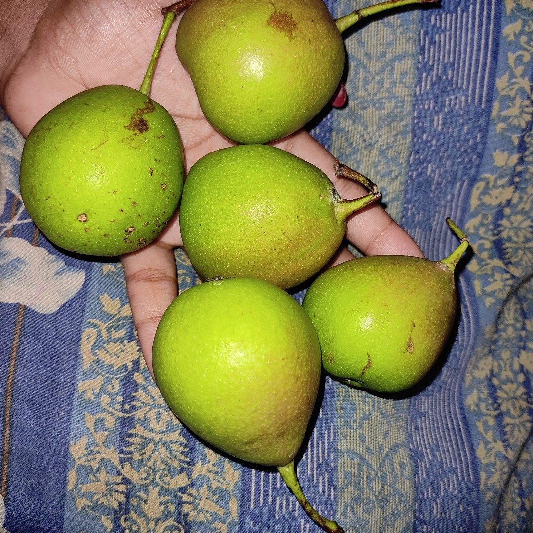 Lost_manzill's tweet photo. କ'ଣ ଅଛି ମୋ ହାତରେ ଏଇଟା??🙄 https://t.co/dBFoaG1BRB