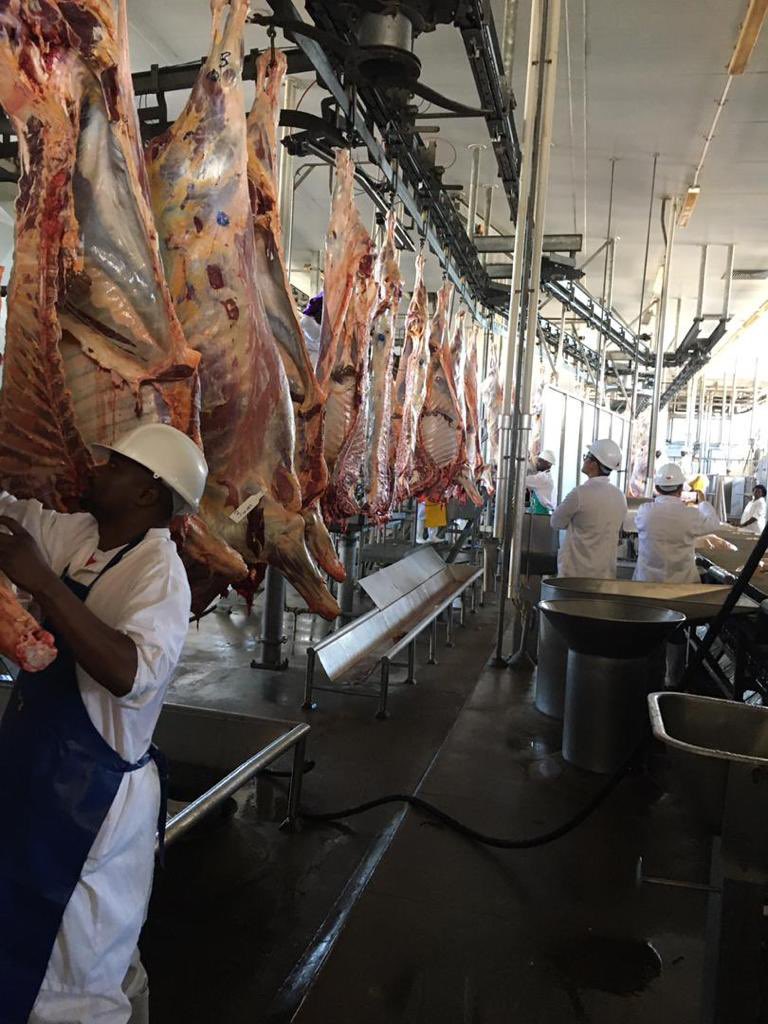 MoB_Capital's tweet photo. When you working with machinery at times you need 2 go back to the manufacturer and engage for efficiency and effectiveness.

It also aides strategic capacity investigations as you look  into the future which is about economies of scale 

CSC Boustead Beef , Byo Plant https://t.co/1E36AIpn2m