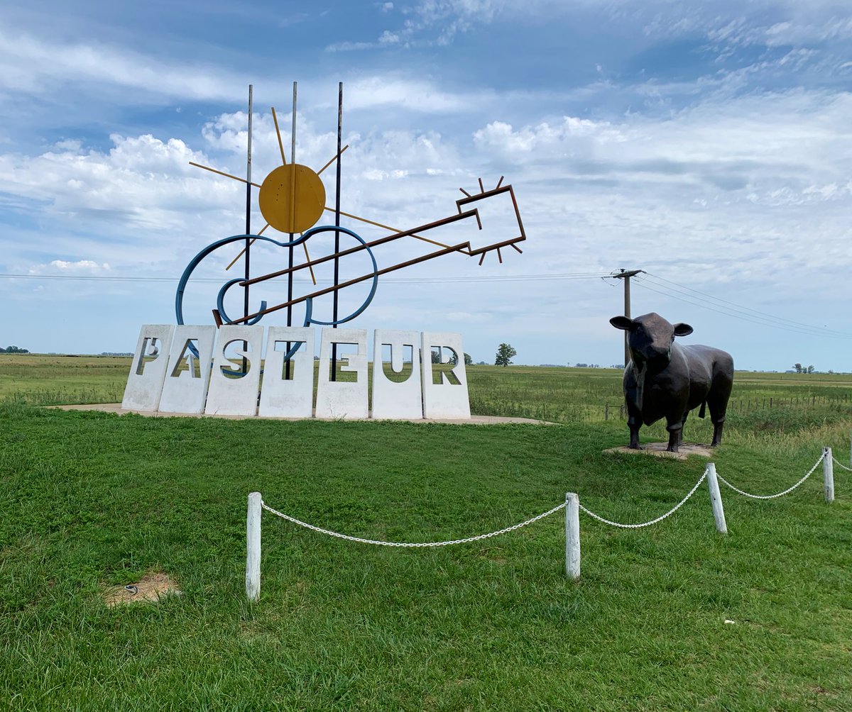 Guido Rodriguez tweet media