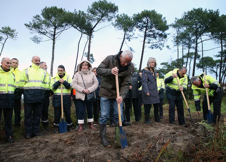 MediabaskInfo's tweet photo. Anglet : le reboisement du #Pignada est lancé https://t.co/U7t8af1CJc @VilleAnglet https://t.co/zoK6YhpEtB