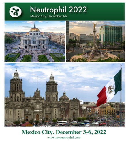 We are happy to announce that the final program of the Neutrophil 2022 International Symposium is out! One can check the details at:theneutrophil.com @SMInmunologia @leukocytebiol @histochemnews @TecdeMonterrey @socmucimm @ConexionCinves @Co_Biologists