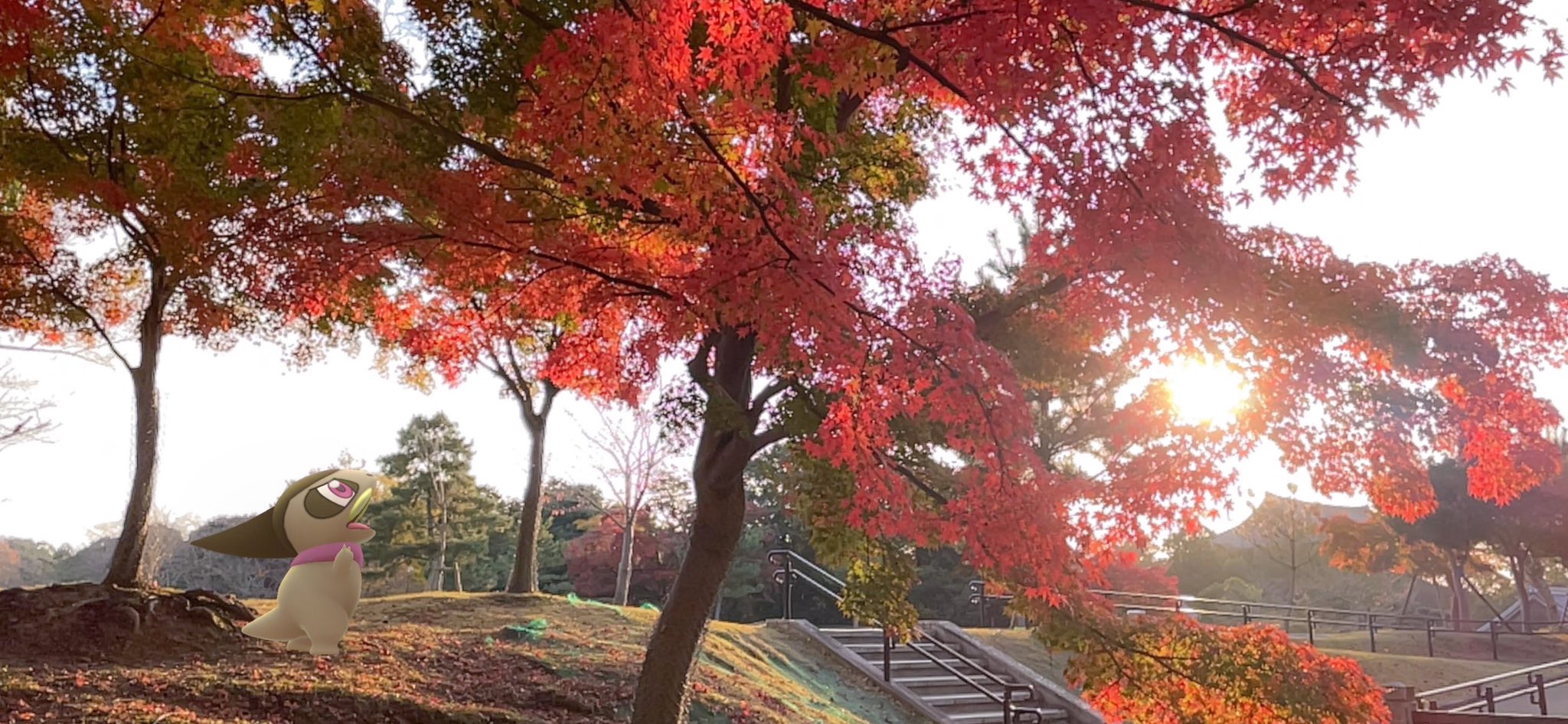 ポケモンgo 奈良公園 Twitter Search Twitter