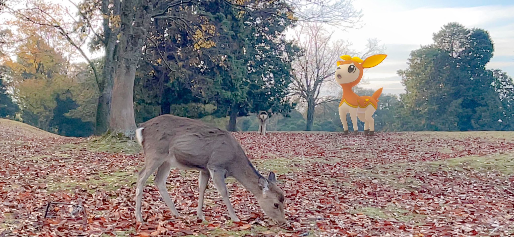 ポケモンgo 奈良公園 Twitter Search Twitter