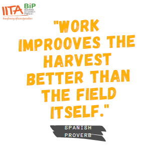 Planting on a good soil is good. 

However, doing the work of sourcing for quality seeds, feeding it with needed #nutrients &amp; following good #agronomic practices will give you better results.

For quality #seeds and other #agribusiness related subjects: iitabip.com