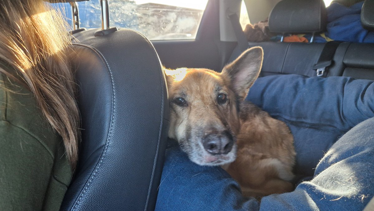 🍄 ziz 🍄 tweet media