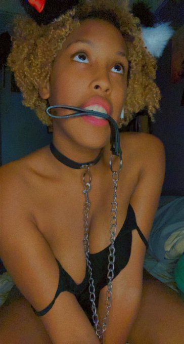 happy black friday from your favorite puppy gf :) get first month 50% off and enjoy watching the messes<a href="/tag/blackfriday"class="tags"><span>#blackfriday</span></a><a href="/tag/nsfwtw"class="tags"><span>#nsfwtw</span></a><a href="/tag/puppygf"class="tags"><span>#puppygf</span></a>