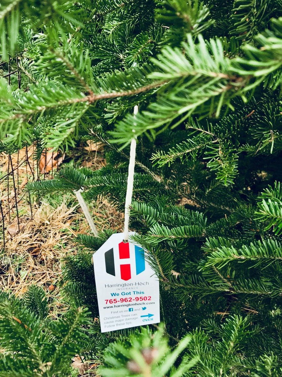 The annual YMCA tree sale begins TODAY at Glen Miller Park! Kick off your holiday decorating all while supporting our local YMCA. Harrington-Hoch is proud to sponsor the tree lot again this year. Check out all programs the YMCA provides for our community. buff.ly/31I8Dsw