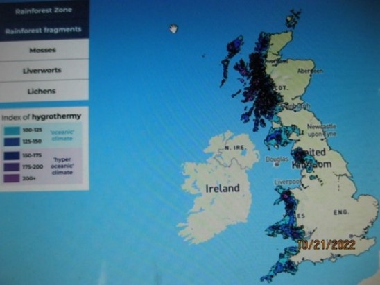 fossilfreeusa's tweet photo. It is not just the #Amazonrainforests that have been lost. The #UKAtlantictemperaterainforest once covered most of its west coasts. Today it covers less than 1% of land. #GuyShrubsole, who runs the #LostRainforestsofBritain campaign, believes it could regenerate. https://t.co/MjEibCPb6l