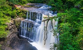 fossilfreeusa's tweet photo. It is not just the #Amazonrainforests that have been lost. The #UKAtlantictemperaterainforest once covered most of its west coasts. Today it covers less than 1% of land. #GuyShrubsole, who runs the #LostRainforestsofBritain campaign, believes it could regenerate. https://t.co/MjEibCPb6l