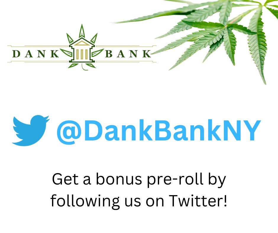 DankBankNY's tweet photo. Show us you follow @DankBankNY on @Twitter and receive a bonus pre-roll!
#NNY #FortCovington #Akwesasne https://t.co/oTwsTL8kWE