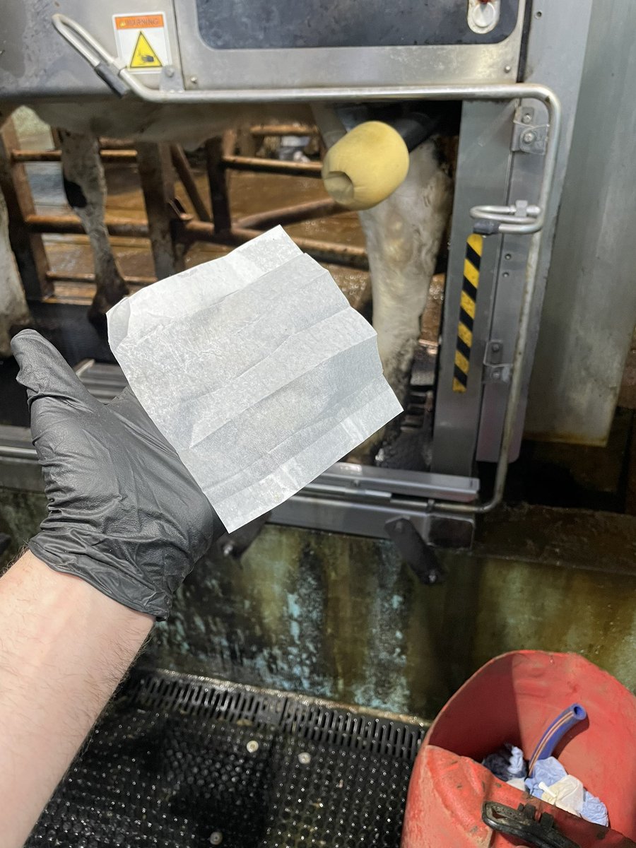 Only really appreciate how good the DeLaval teat washing cup on the robot is when you go drying off cows. That’s one clean wipe.