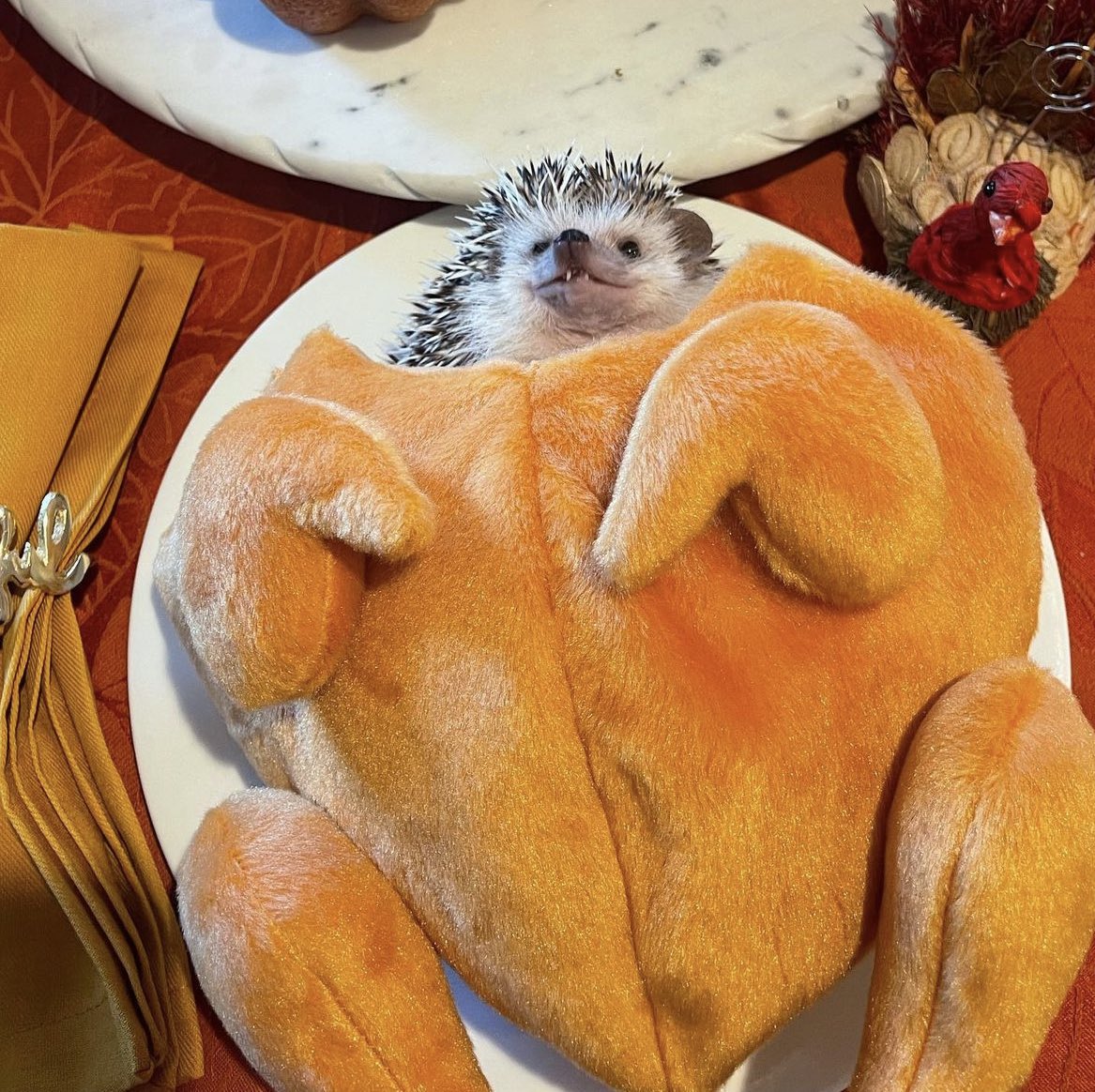 Friday 25th November, 2022