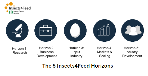 To implement the cluster, activities are divided into 5 ‘horizons’ and each is covering a specific subject. 

Together, these horizons build the necessary knowledge, #infrastructure &amp; #businesses needed for a #sustainable #insect sector. 

To learn more: insects4feed.org