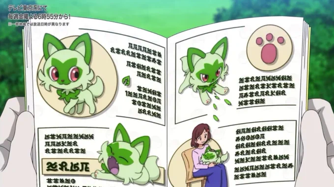 Sprigatito... look at the pages #anipoke 