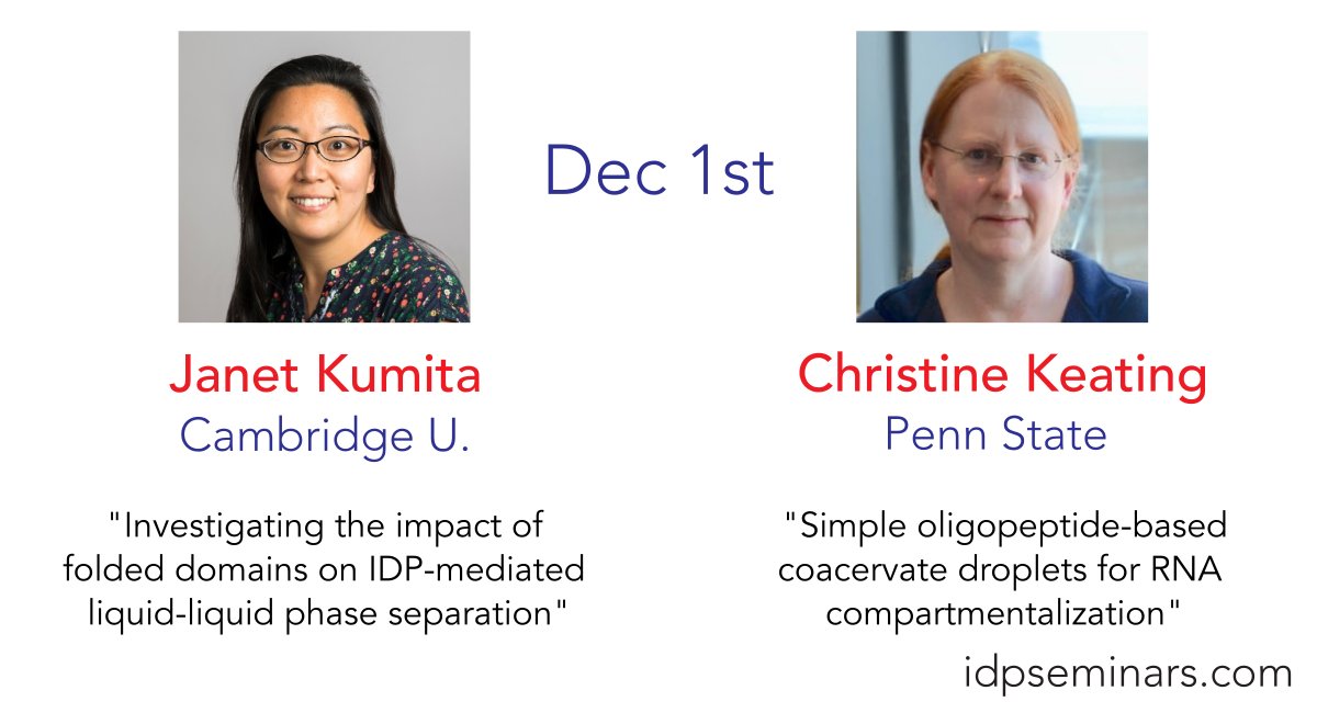 IDPseminars (@idpseminars) on Twitter photo 🚨 Black Friday special! 🚨 Two seminars for the price of one! (although you have to wait until Thursday to collect them).
Next week, we are happy to welcome <a href="/jrkumita/">Janet Kumita</a> and Christine Keating!
New participants can sign up at idpseminars.com 🚨 Black Friday special! 🚨 Two seminars for the price of one! (although you have to wait until Thursday to collect them).
Next week, we are happy to welcome <a href="/jrkumita/">Janet Kumita</a> and Christine Keating!
New participants can sign up at idpseminars.com