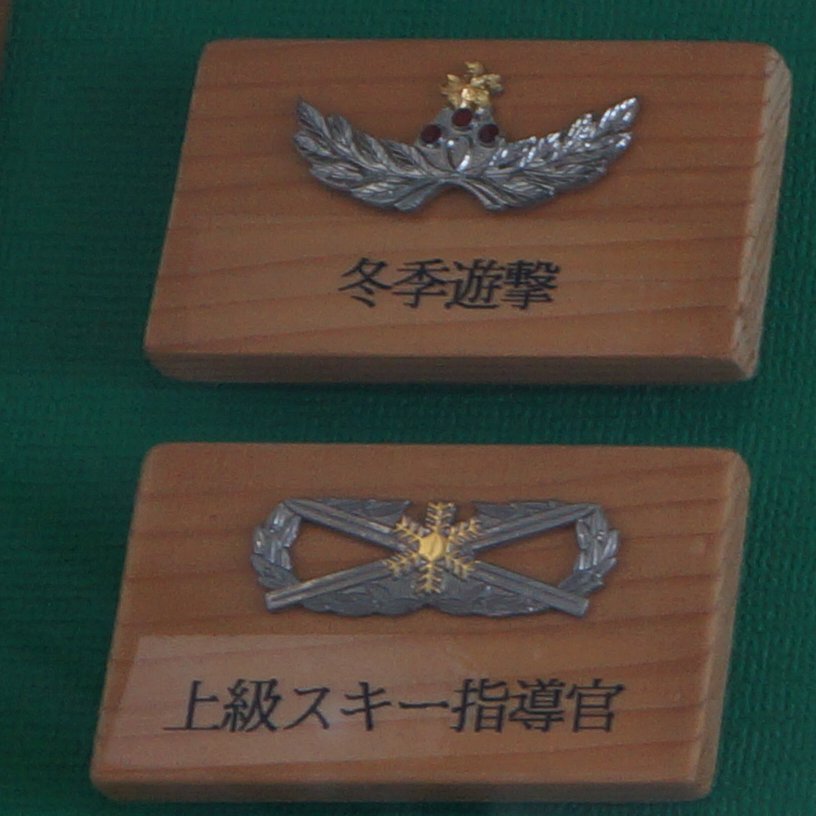冬季遊撃徽章は凄いのは知っていたけど、上級スキー指導官も凄いなと