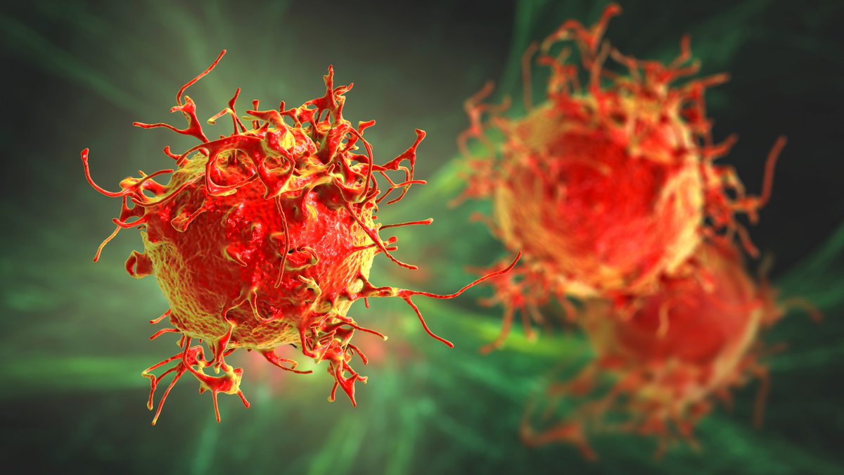 GENbio's tweet photo. #PACTPharma and @UCLA scientists demonstrated the feasibility of isolating and cloning multiple TCRs that detect patients’ cancer cells, simultaneous knocking-out of endogenous TCRs and knocking-in of neoTCRs using #genomeediting. Read more: https://t.co/oFrvnP5NRl #CRISPR https://t.co/Gwa5i8EJGk