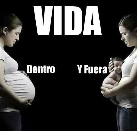 porlavida2014's tweet photo. Dentro o fuera, la vida humana es innegable. #Sialavida https://t.co/2V1pl8pakr