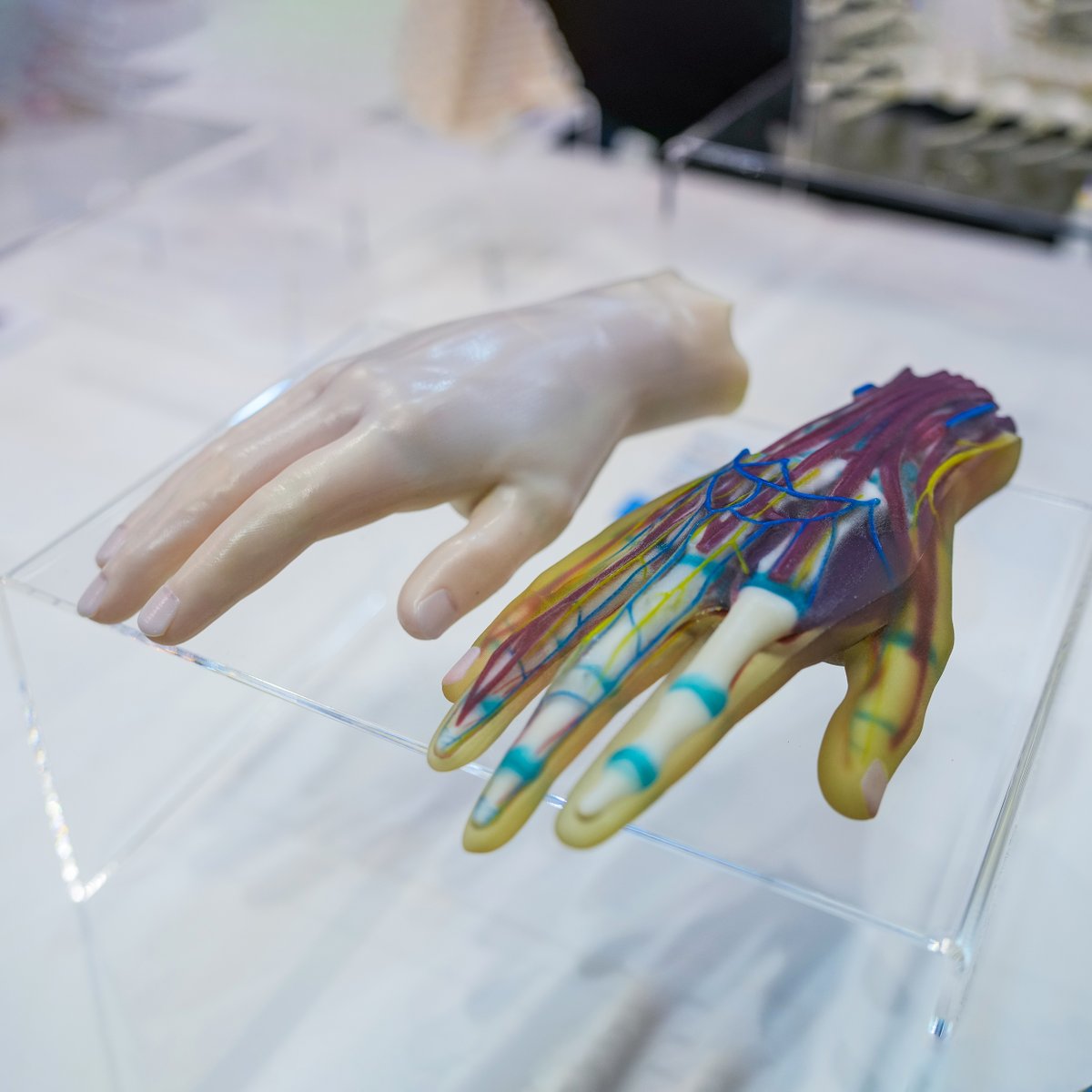 Wrapping up #formnext 2022 with some impressions of the over 100 3D printed models showcased at our booth. Stratasys provides complete polymer #3Dprinting solutions for every stage of the product life cycle, across manufacturing, design and healthcare. okt.to/TbYoFg