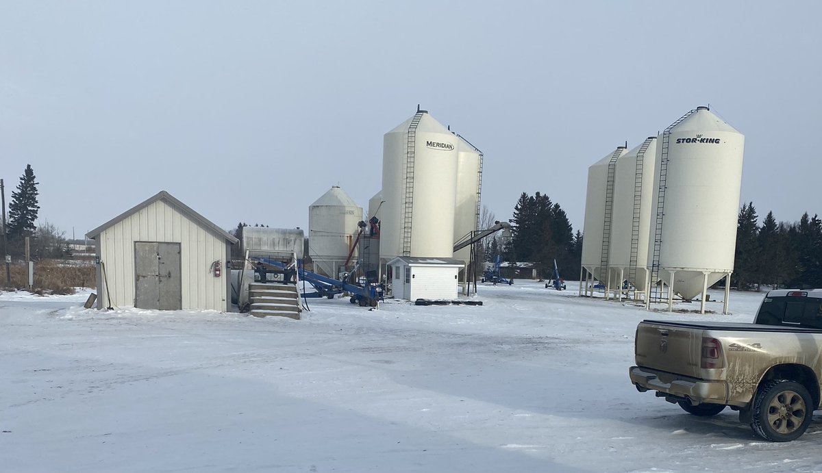 Before and After views from my kitchen window! And my truck is still dirty…