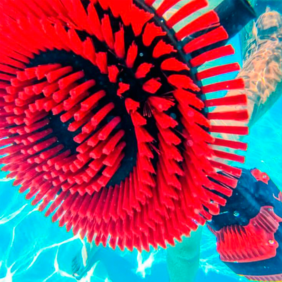 Clean_Sailing's tweet image. Eleva tu negocio al siguiente nivel con el cepillo eléctrico de limpieza de Nemo HULL Cleaner. 💪¡Da el paso! 
 cleansailing.es/r/8dC
#nemopowertools #hullcleaning #cleansailing