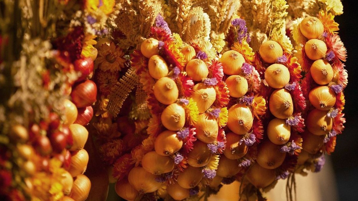 Am Montag findet der Zibelemärit statt 🧅😍🧅 Damit du bereits, wenn der Tag langsam erwacht, gemütlich durch die Berner Gassen schlendern kannst, bringen wir alle Frühaufsteher:innen mit Extrazügen und -bussen hin. Hier geht’s zum Fahrplan 👉 rbs.ch/aktuelles/news…