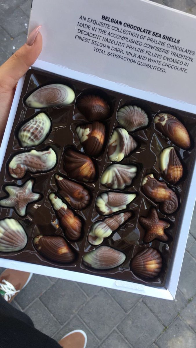 Belgian Chocolate Sea Shells. 🐚