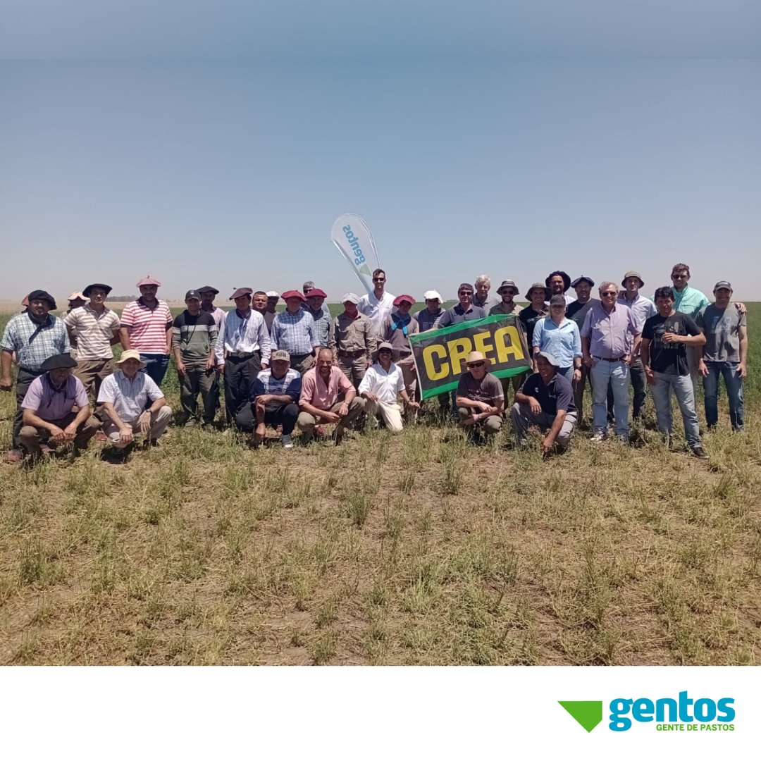 Gentos Argentina tweet media