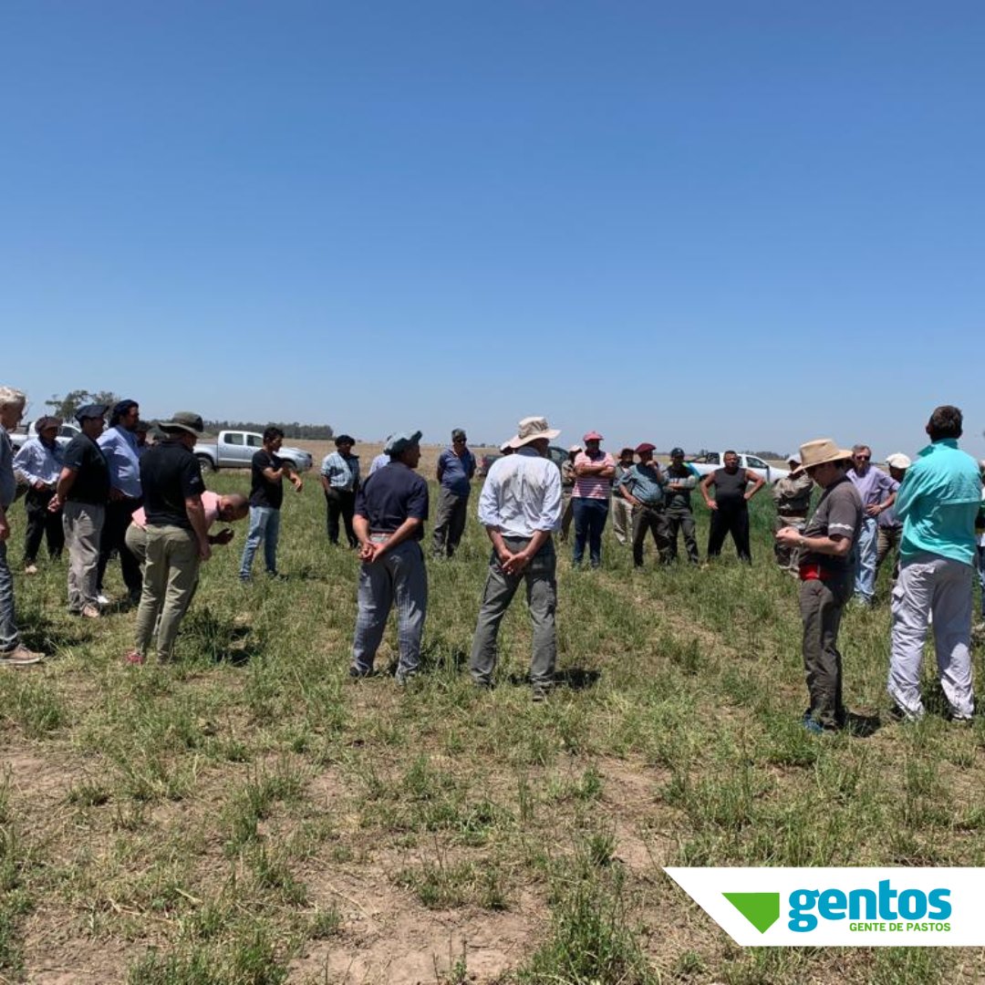 Gentos Argentina tweet media