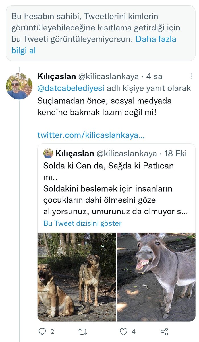 kilic_aslan36's tweet photo. Engellemek, kaçmanın en kolay yolu herhalde @datcabelediyesi #datcabelediyesi
Eşekleri hedefe koyarken köpekleri eş geçmek de, ne bileyim pek bağdaşmadı sanki sosyal belediyecilikle.
Hayvan severlik sadece köpek sevmek'midir, diğer canlıların varlığını, yaşam hakkını yok sayarak. https://t.co/ySwAJ7zhIE