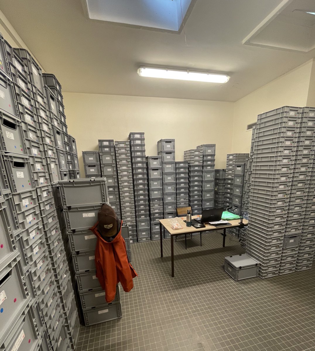 This is a better place to focus on. Looking at Menez-Dregan collection thanks to Dr. Anne-Lyse Ravon.