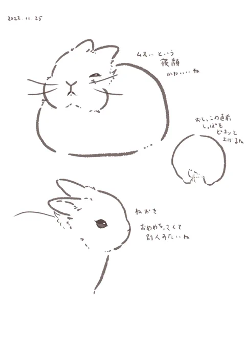 今日のrabbit…

毎日描いてるくせにかわいさをぜんぜん再現できてない!となってじっと観察するなどしていました
#うさぎのいる生活 