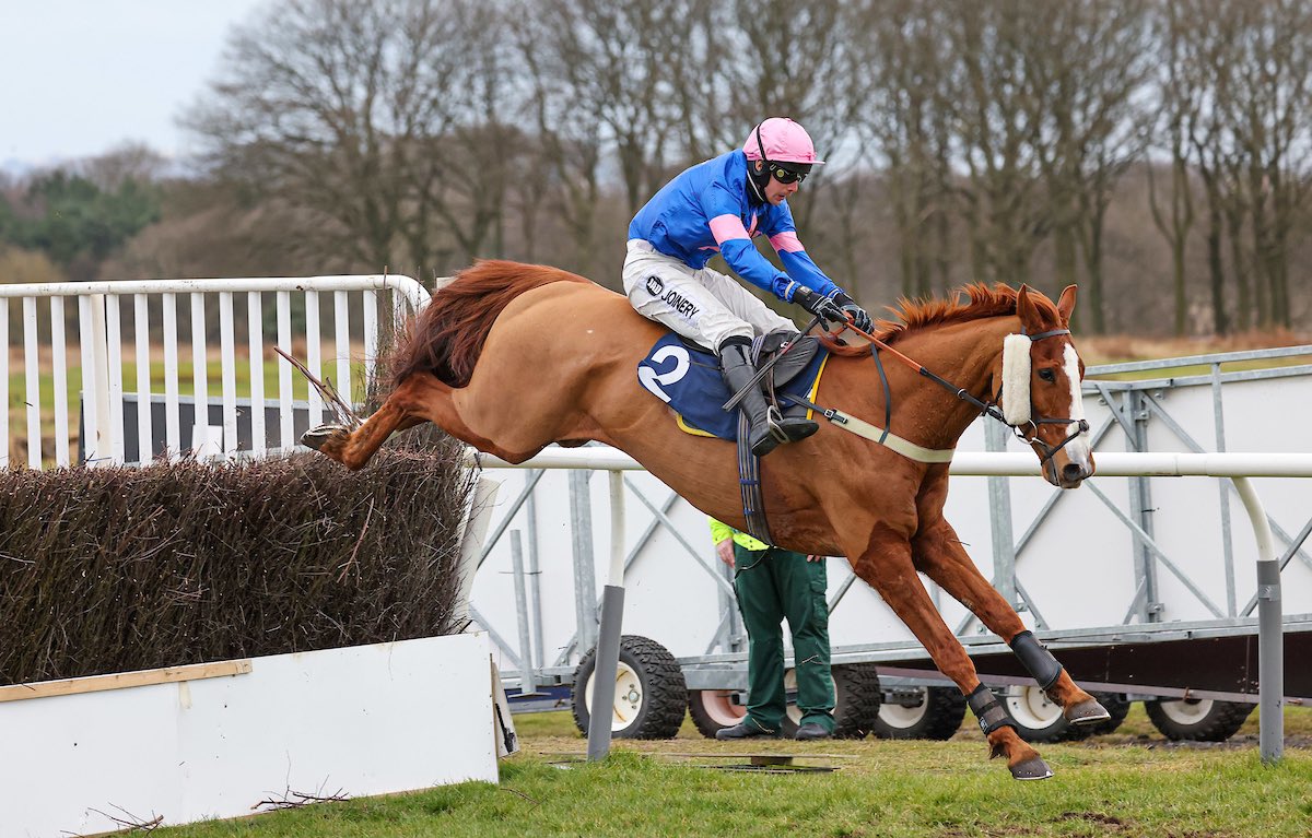 ScottishRacing's tweet photo. We also have two more trainers flying the flag for 🏴󠁧󠁢󠁳󠁣󠁴󠁿 tomorrow! 

Good luck to: 

Aye Right for @HarrietGraham1 &amp; Gary Rutherford ❤️🤍 

Dingo Dollar for @LambdenRacing  💙💗

Both horses run in the Betfair Exchange Rehearsal Handicap Chase @NewcastleRaces 🤞🏻 (3:25pm) https://t.co/giYSKGWJwl
