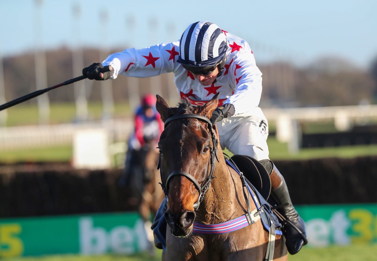 ScottishRacing's tweet photo. We also have two more trainers flying the flag for 🏴󠁧󠁢󠁳󠁣󠁴󠁿 tomorrow! 

Good luck to: 

Aye Right for @HarrietGraham1 &amp; Gary Rutherford ❤️🤍 

Dingo Dollar for @LambdenRacing  💙💗

Both horses run in the Betfair Exchange Rehearsal Handicap Chase @NewcastleRaces 🤞🏻 (3:25pm) https://t.co/giYSKGWJwl