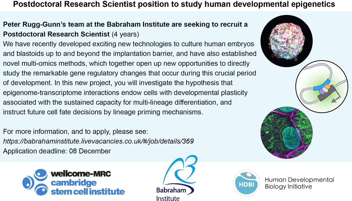 Rugg-Gunn Lab (@rugggunnlab) on Twitter photo We are looking for a postdoc to join our team <a href="/BabrahamInst/">Babraham Institute</a>, to work on a project investigating gene regulatory mechanisms in human early development.
For more info and to apply:
babrahaminstitute.livevacancies.co.uk/#/job/details/…
Please help us to spread the word. We are looking for a postdoc to join our team <a href="/BabrahamInst/">Babraham Institute</a>, to work on a project investigating gene regulatory mechanisms in human early development.
For more info and to apply:
babrahaminstitute.livevacancies.co.uk/#/job/details/…
Please help us to spread the word.