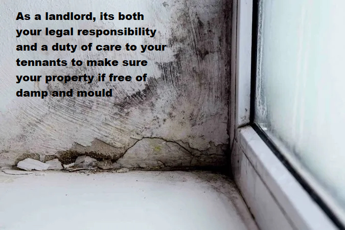 ProjexSand's tweet image. #mould in rented accomodation is the responsibility of the landlord. Get it treated before it becomes a problem.
#landlords #propertymanagement #propertyinvestors