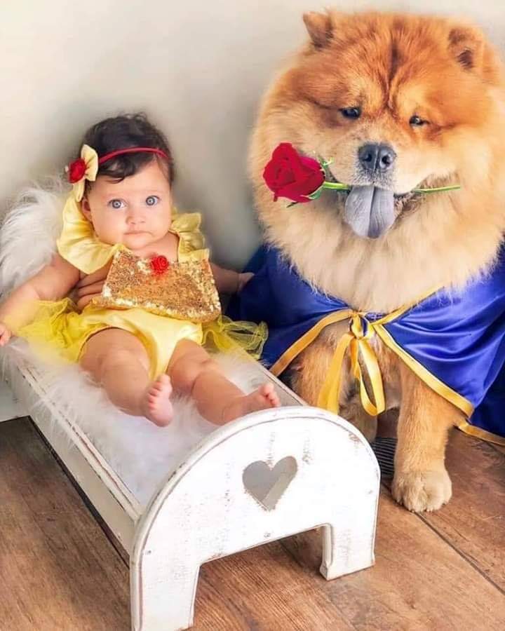 El mejor cosplay de 'La Bella y la Bestia'