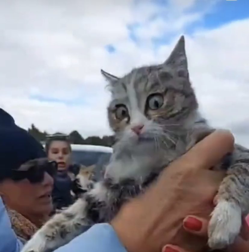 Bu bakışı bu korkuyu yaşamadan can veremeyin. Biri bitmeden diğeri başlayan çileleriniz olsun hayat boyu. Vicdanı merhameti olan bir yetkili şu cocuklara yapılan eziyete dur desin artık! Bir gram insan olalım !! #Konyadakatliamvar #Konya