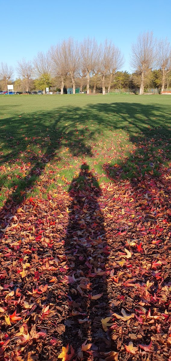 A beautiful day to blow the cobwebs away #wimbledonpark