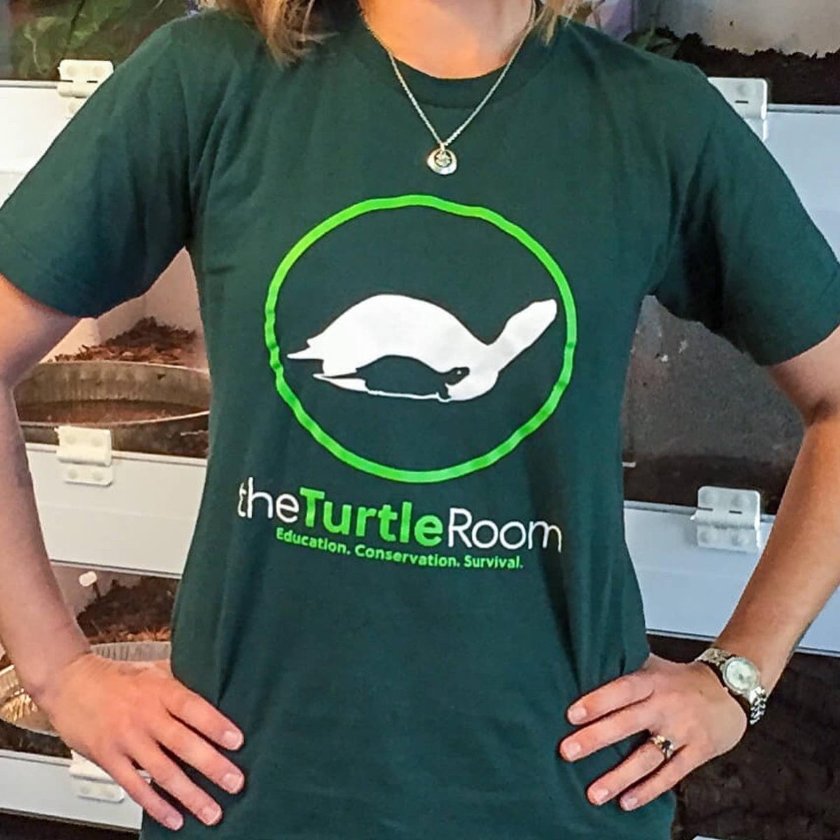 theTurtleRoom tweet media
