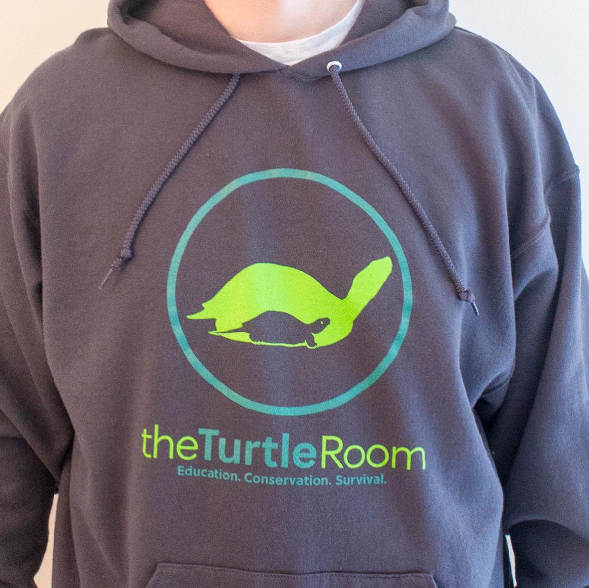 theTurtleRoom tweet media