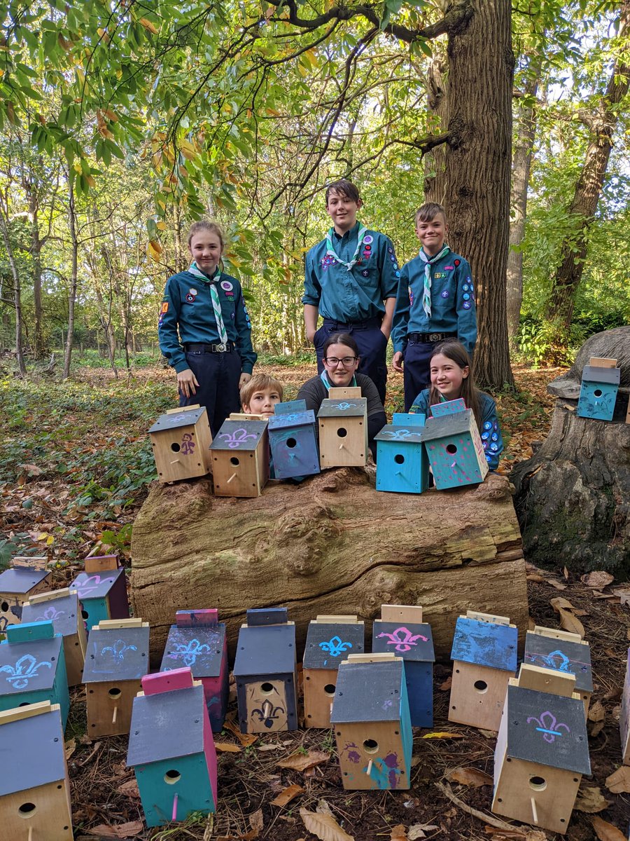 FlitwickScouts's tweet photo. Scouts at Flitwick built bird boxes earlier this term, and at half term some of them met with @NewsFTC Flitwick Town Council to hand some over to be put up in the local Manor Park. Read more here to Build a Little Birdhouse in your Soul: https://t.co/6osG4BSxnv https://t.co/ckjpXLKJ4M