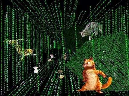 <a href="/katMotja/">Кот Мотя</a> Так как Глобальная Иллюзия сие фсё равно Тело Сознания , мы направляем намеренно свою уверенность в определённом исходе всех важных для нас иллюзия . И делается именно так, а не иначе , ибо иначе не может быть 
Спасибо, Мотенька, за посту и огромную пользу!