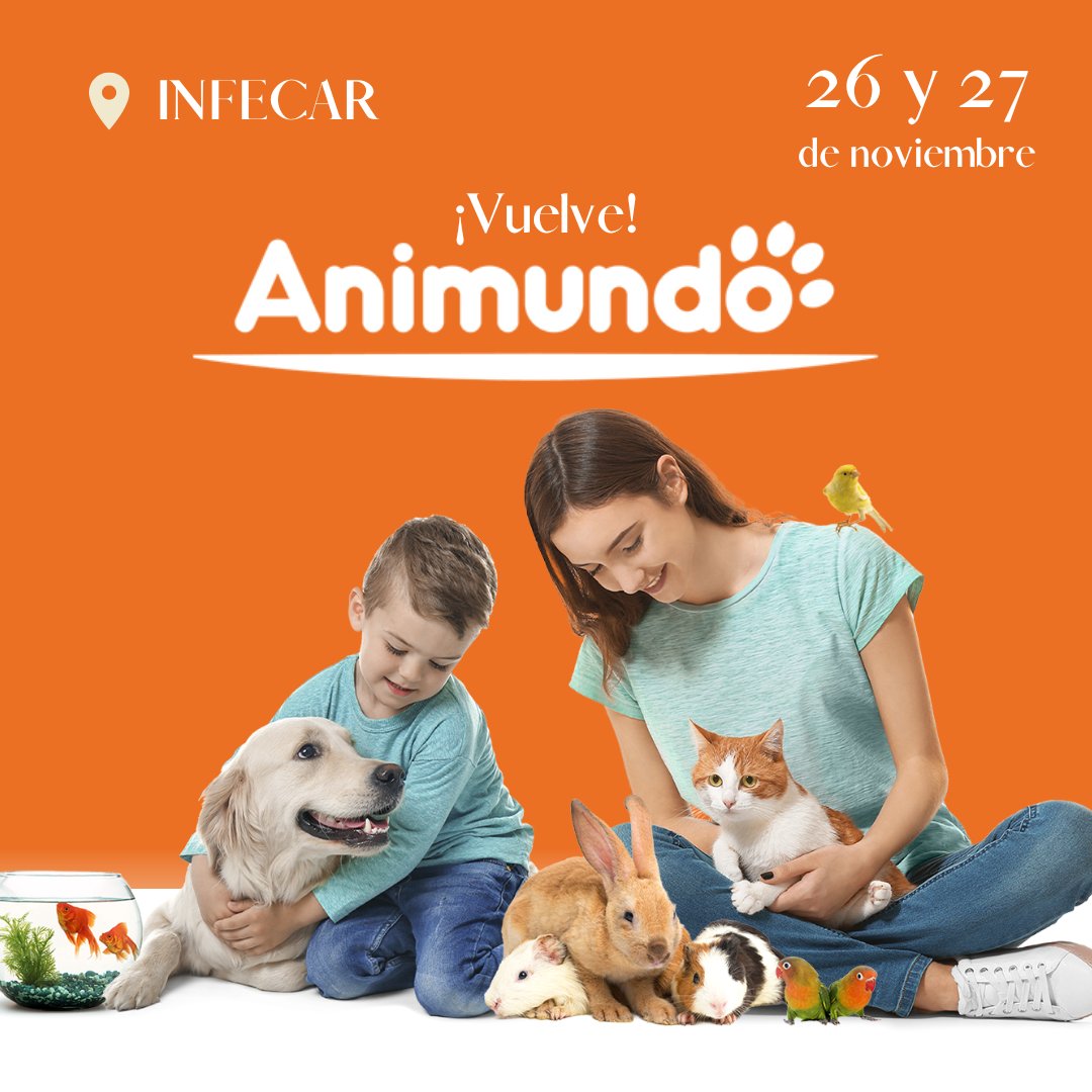 GranCanariaMICE's tweet image. Vuelve ANIMUNDO, la Feria del Animal de Compañía, a @infecar , entre el 26 y 27 de noviembre. 
Un encuentro para los profesionales, familias y amantes de los animales 

¡Nos vemos el finde!

#Animundo #animales #perro #gato #peces #pajaro #mascota #conejo #GranCanaria #MICE