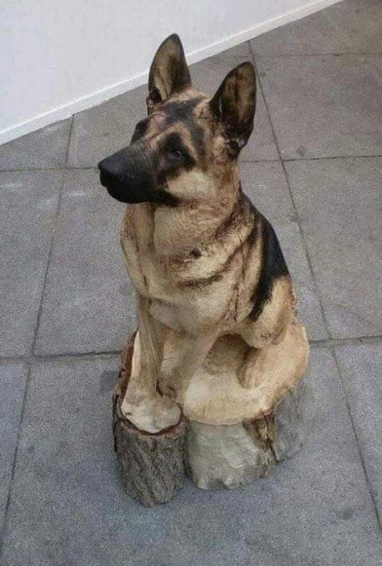 ManhattanInter2's tweet photo. Pure talent, carved from wood. Perfect for your home or garden 🪴 🐶 🏡 #fridaymorning #Twitter #PORGHA #JumiaBlackFriday22 #amazontax ~ C https://t.co/fcfl9YXc3R