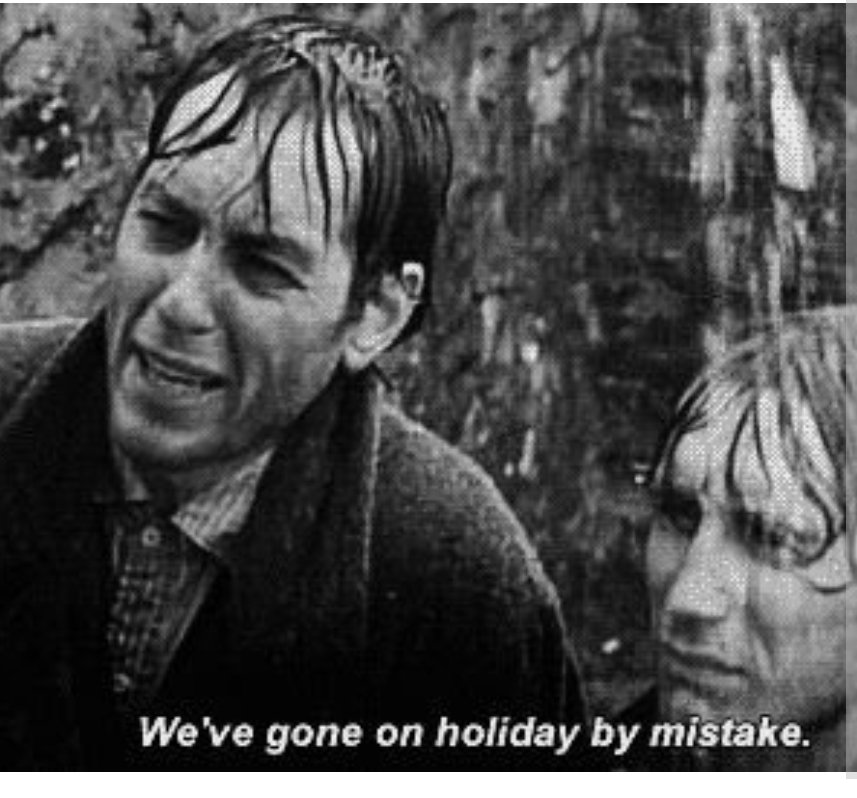 GT Delve tweet media